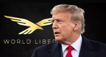 The website of the Trump crypto project could not withstand the load at the start – many investors were unable to buy the WLFI token