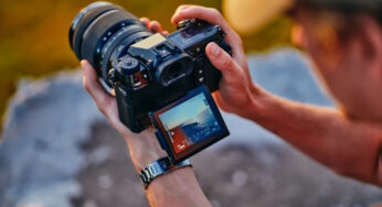 Results of 2024: cameras