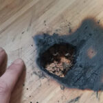 An old Gigabyte gaming mouse almost burned down the user’s house