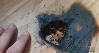 An old Gigabyte gaming mouse almost burned down the user’s house