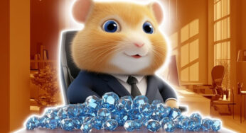 The Hamster is Back: The Second Season of Hamster Kombat Has Started — HMSTR Cryptocurrency Has Fallen in Price by 10%