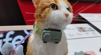GlocalMe PetPhone Introduced – Two-Way Pet Smartphone