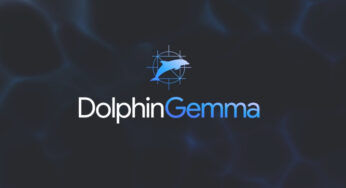 Google Creates DolphinGemma AI Model to Communicate with Dolphins